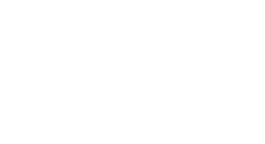 MiniCAPO